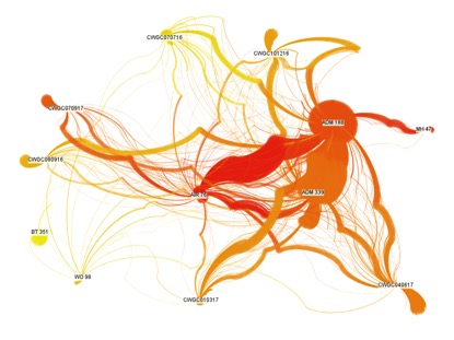 Image1: Visualisation of links between people in different archival series from Traces through Time